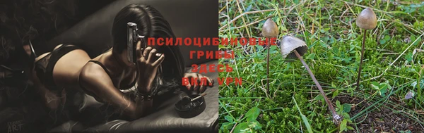 Альфа ПВП Зерноград